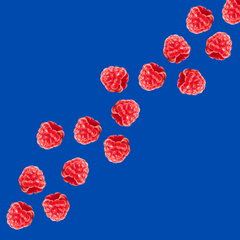 Red Raspberry - Dye-FREE Ready-to-Use Snow Cone & Shaved Ice Syrup - 100% Pure Cane Sugar