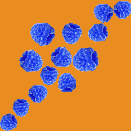 Blue raspberries on a burnt orange background representing Wild Desert Dye-FREE Blue Raspberry Coffee Syrup. Made with non-GMO 100% pure cane sugar and crafted in small batches by a family-owned business in Tucson, Arizona. Clear pour, dye-free syrup with a sweet and tangy blue raspberry flavor, perfect for coffee, lattes, teas, smoothies, and specialty drinks.