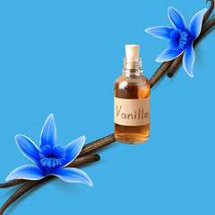 Blue Vanilla – Dye-FREE Sugar-Free Ready-to-Use Snow Cone & Shaved Ice Syrup – 16 Fl oz