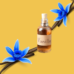 Wild Desert SUGAR FREE | Dye-FREE Coffee Syrup | Blue Vanilla - 12 Fl Oz
