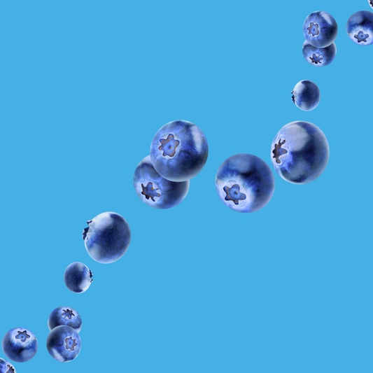 Plump ripe blueberries on a vibrant sky blue background representing Hypothermias Blueberry SUGAR FREE | Dye-FREE Shaved Ice Syrup. Sweet blueberry pie flavor, FREE & Clear, sugar free, dye free, keto-friendly with monk fruit & erythritol.