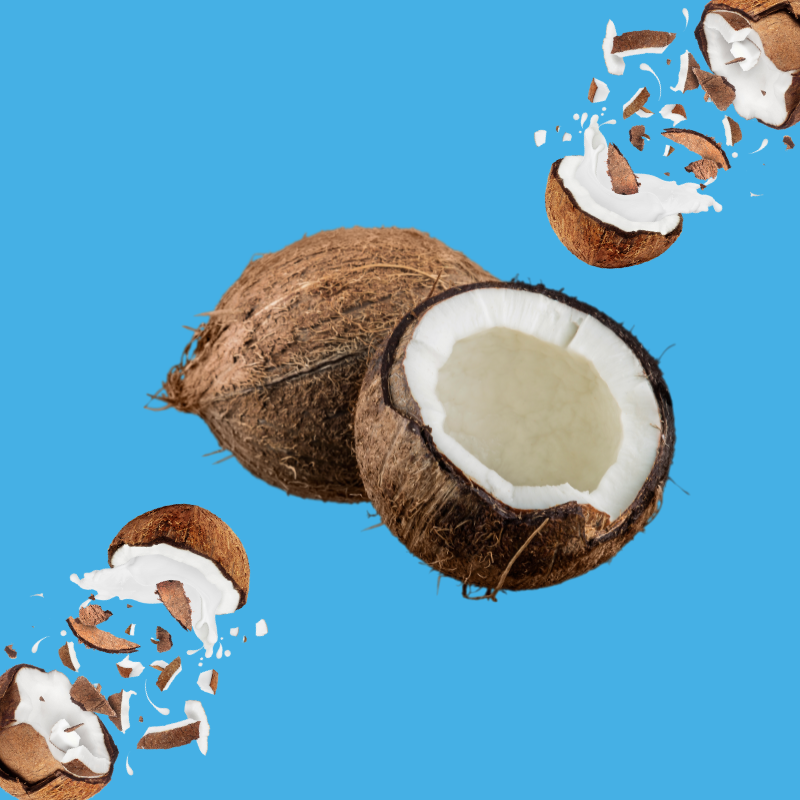 Fresh coconut halves on a vibrant sky blue background representing Hypothermias Coconut SUGAR FREE | Dye-FREE Shaved Ice Syrup. Creamy tropical flavor, FREE & Clear, sugar free, dye free, keto-friendly with monk fruit & erythritol.