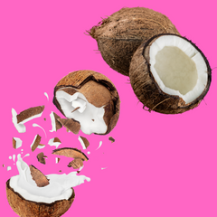 Fresh coconuts on a tropical background representing Hypothermias Coconut Sugar Free Dye-FREE Slush Syrup, a keto-friendly tropical slush mix with zero net carbs for slush machines and frozen drinks