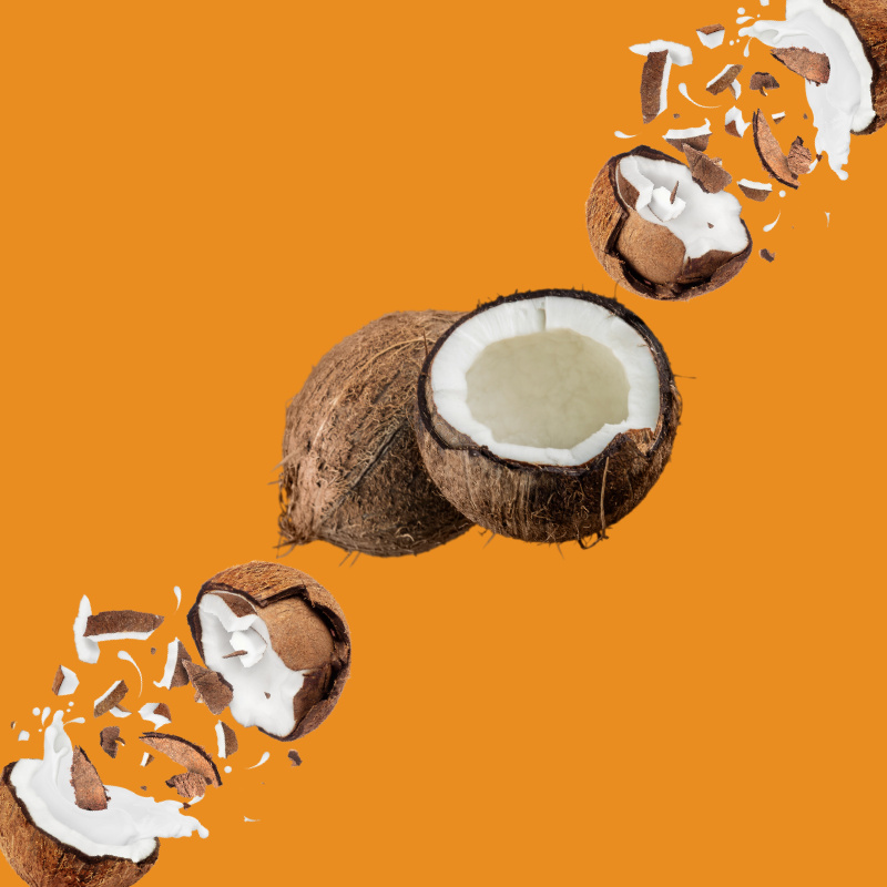 Fresh coconut pieces on a burnt orange background representing Wild Desert Dye-FREE Coconut Coffee Syrup. Made with non-GMO 100% pure cane sugar and crafted in small batches by a family-owned business in Tucson, Arizona. Clear pour, dye-free syrup with sweet tropical coconut flavor and no high-fructose corn syrup, perfect for coffee, lattes, teas, smoothies, and specialty drinks.