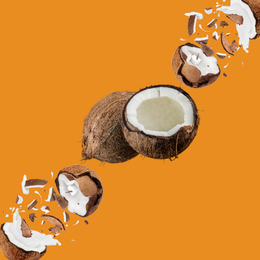 Fresh coconut pieces on a burnt orange background representing Wild Desert Dye-FREE Coconut Coffee Syrup. Made with non-GMO 100% pure cane sugar and crafted in small batches by a family-owned business in Tucson, Arizona. Clear pour, dye-free syrup with sweet tropical coconut flavor and no high-fructose corn syrup, perfect for coffee, lattes, teas, smoothies, and specialty drinks.