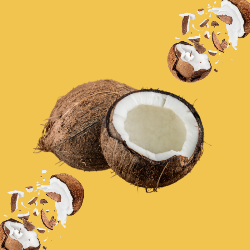 Wild Desert Sugar Free Dye-FREE Coconut Coffee Syrup, clear pour with creamy tropical coconut flavor, photo on golden yellow background