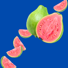 A picture of guava fruit representing Hypothermias Dye-FREE Guava Shaved Ice Syrup. Clear, dye-free syrup with tropical flavor for snow cones and slushies.