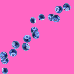 Ingredients for Hypothermias Sugar Free Dye-FREE Blueberry Slush Syrup