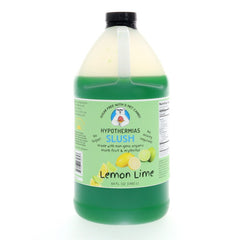 Sugar Free Slush-Lemon Lime