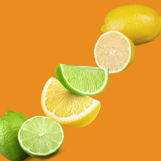 Fresh lemon and lime slices on a burnt orange background representing Wild Desert Dye-FREE Lemon Lime Coffee Syrup. Made with non-GMO 100% pure cane sugar and crafted in small batches by a family-owned business in Tucson, Arizona. Clear pour, dye-free syrup with a bright, zesty citrus flavor combining tart lemon and sweet lime. Perfect for coffee, lattes, teas, smoothies, and specialty drinks.