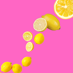 Lemon Sugar Free Dye-FREE Slush Syrup by Hypothermias