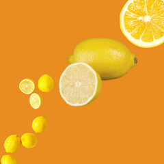 Wild Desert Dye-FREE Lemon Coffee Syrup with non-GMO pure cane sugar, citrus lemon flavor, clear pour