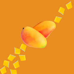 Fresh mango slices on a burnt orange background representing Wild Desert Dye-FREE Mango Coffee Syrup. Made with non-GMO 100% pure cane sugar and crafted in small batches by a family-owned business in Tucson, Arizona. Clear pour, dye-free syrup with a sweet tropical mango flavor, perfect for coffee, lattes, teas, smoothies, and specialty drinks.