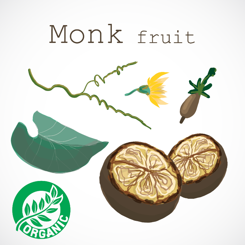 Monk fruit logo on white background.