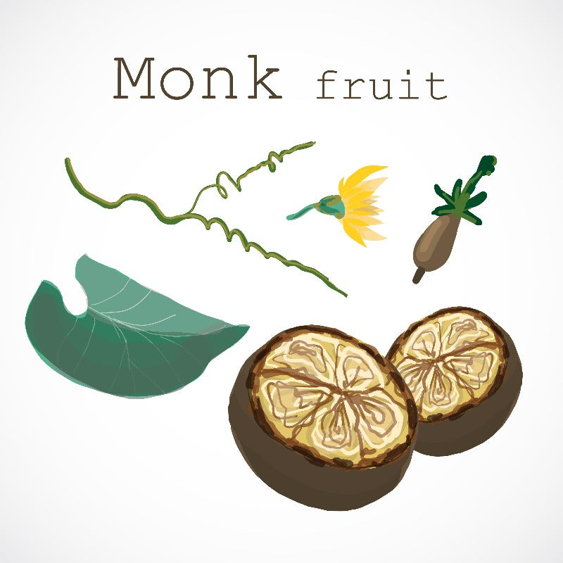 Monk fruit sketch.