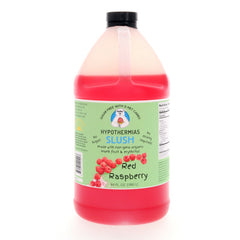Hypothermias SUGAR FREE Slush | Monk Fruit | Red Raspberry (Half Gallon)
