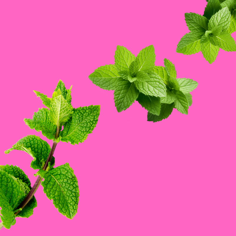 Spearmint Sugar Free Dye-FREE Slush Syrup by Hypothermias on a vibrant pink background