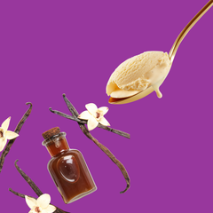 Vanilla | Hypothermias Dye-FREE Slush Syrup| Half Gallon