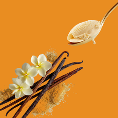 Wild Desert Dye-FREE Coffee Syrup | Vanilla (12 fl. oz)