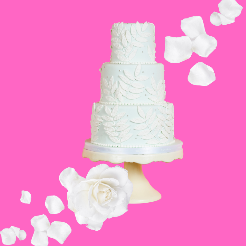 Wedding cake slices on a vibrant pink background representing Hypothermias Wedding Cake Sugar Free Dye-FREE Slush Syrup, a keto-friendly dessert slush mix with organic monk fruit & organic erythritol for zero net carb frozen drinks and slushie machines
