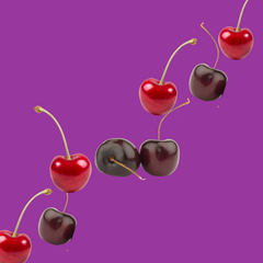 Wild Cherry | Hypothermias Dye-FREE Slush Syrup| Half Gallon