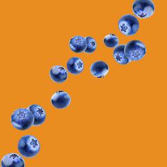 Fresh blueberries on a burnt orange background representing Wild Desert Dye-FREE Blueberry Coffee Syrup. Made with non-GMO 100% pure cane sugar and small-batch crafted by a family-owned business in Tucson, Arizona. Clear pour, dye-free syrup with a sweet blueberry flavor, perfect for coffee, lattes, teas, smoothies, and specialty drinks.