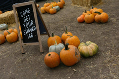 A frame sign that reads come get your shaved ice in pumpkin patch.