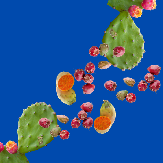 Prickly Pear - Dye-FREE Ready-to-Use Snow Cone & Shaved Ice Syrup - 100% Pure Cane Sugar