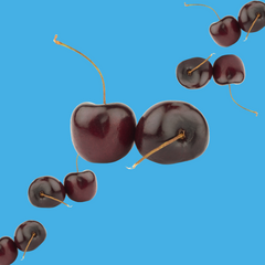 Ripe black cherries on a vibrant sky blue background representing Hypothermias Black Cherry SUGAR FREE | Dye-FREE Shaved Ice Syrup. Bold cherry flavor, FREE & Clear, sugar free, dye free, zero net carbs, monk fruit & erythritol.