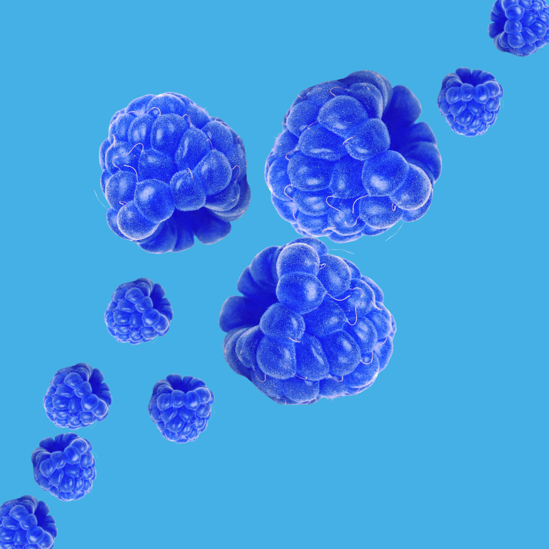 Fresh blue raspberries on a vibrant sky blue background representing Hypothermias Blue Raspberry SUGAR FREE | Dye-FREE Shaved Ice Syrup. Fan favorite, bold sweet & tangy flavor, sugar free, dye free, keto-friendly, monk fruit & erythritol.