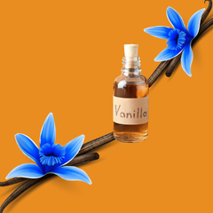 Wild Desert Dye-FREE Coffee Syrup | Blue Vanilla (12 fl. oz)