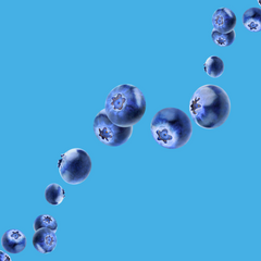 Plump ripe blueberries on a vibrant sky blue background representing Hypothermias Blueberry SUGAR FREE | Dye-FREE Shaved Ice Syrup. Sweet blueberry pie flavor, FREE & Clear, sugar free, dye free, keto-friendly with monk fruit & erythritol.