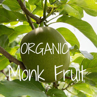 Prickly Pear Sugar Free  Coffee Syrup