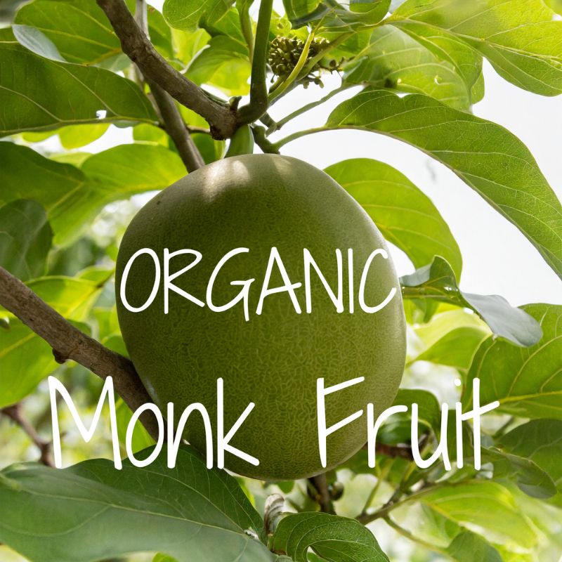 Organic monk fruit hanging on a vine.