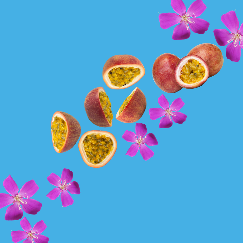 Passionfruit – Dye-FREE Sugar-Free Ready-to-Use Snow Cone & Shaved Ice Syrup – 16 Fl oz