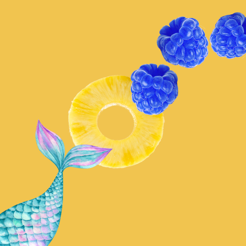 Wild Desert SUGAR FREE | Dye-FREE Coffee Syrup | Siren's Song - 12 Fl Oz