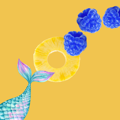 Wild Desert SUGAR FREE | Dye-FREE Coffee Syrup | Siren's Song - 12 Fl Oz