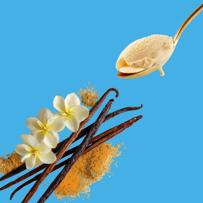 Vanilla – Dye-FREE Flavor Concentrate – For Snow Cone & Shaved Ice Syrup