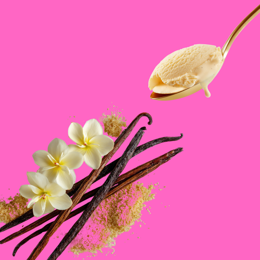 Vanilla | Hypothermias SUGAR FREE Dye-FREE Slush Syrup | Half Gallon