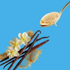 Vanilla – Dye-FREE Sugar-Free Ready-to-Use Snow Cone & Shaved Ice Syrup – 16 Fl oz