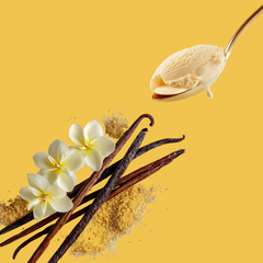 Wild Desert SUGAR FREE | Dye-FREE Coffee Syrup | Vanilla - 12 Fl Oz