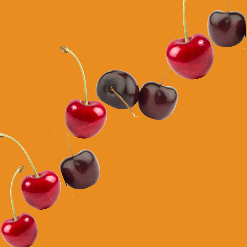 Wild Desert Dye-FREE Coffee Syrup | Wild Cherry (12 fl. oz)